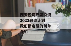 西安泾河产发投资2023融资计划政府债定融的简单介绍