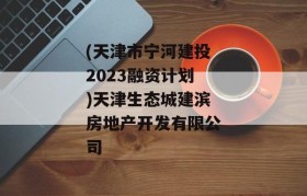 (天津市宁河建投2023融资计划)天津生态城建滨房地产开发有限公司