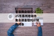 包含央企信托-225号泰州地级市集合资金信托计划的词条