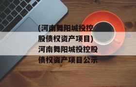 (河南舞阳城投控股债权资产项目)河南舞阳城投控股债权资产项目公示