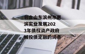 包含山东滨州市惠滨实业发展2023年债权资产政府城投债定融的词条