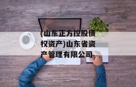 (山东正方控股债权资产)山东省资产管理有限公司