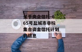 关于央企信托-665号盐城市非标集合资金信托计划的信息