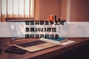 包含蒜都金乡土地发展2023政信债权资产的词条