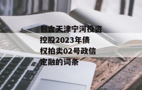 包含天津宁河投资控股2023年债权拍卖02号政信定融的词条