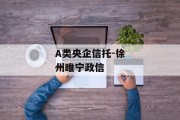 A类央企信托-徐州睢宁政信