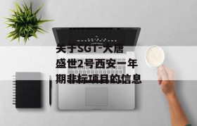 关于SGT-大唐盛世2号西安一年期非标项目的信息