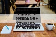 (山东泰丰控股2023债权资产系列项目)山东泰丰控股2023债权资产系列项目招标