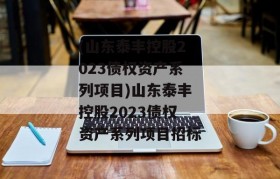 (山东泰丰控股2023债权资产系列项目)山东泰丰控股2023债权资产系列项目招标