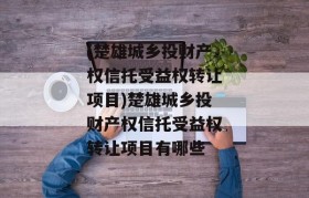 (楚雄城乡投财产权信托受益权转让项目)楚雄城乡投财产权信托受益权转让项目有哪些