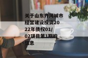 关于山东齐河城市经营建设投资2022年债权01/02项目第1期的信息