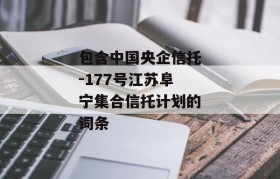 包含中国央企信托-177号江苏阜宁集合信托计划的词条