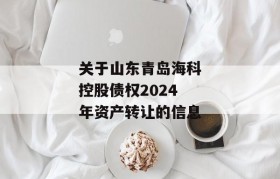 关于山东青岛海科控股债权2024年资产转让的信息