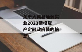 关于大英县通源实业2023债权资产定融政府债的信息