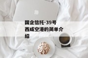 国企信托-39号西咸空港的简单介绍