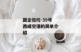 国企信托-39号西咸空港的简单介绍