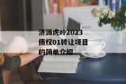 济源虎岭2023债权01转让项目的简单介绍