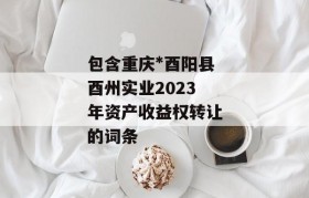 包含重庆*酉阳县酉州实业2023年资产收益权转让的词条