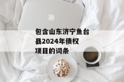 包含山东济宁鱼台县2024年债权项目的词条