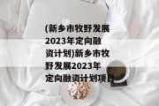 (新乡市牧野发展2023年定向融资计划)新乡市牧野发展2023年定向融资计划项目