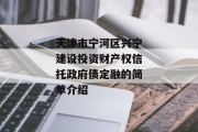 天津市宁河区兴宁建设投资财产权信托政府债定融的简单介绍