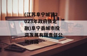 (江苏阜宁城建2023年政府债定融)阜宁县城市投资发展有限责任公司评级