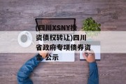 (四川XSNY投资债权转让)四川省政府专项债券资金 公示