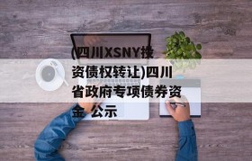 (四川XSNY投资债权转让)四川省政府专项债券资金 公示