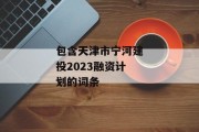 包含天津市宁河建投2023融资计划的词条