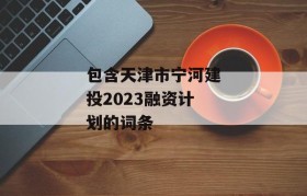 包含天津市宁河建投2023融资计划的词条