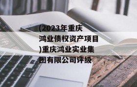 (2023年重庆鸿业债权资产项目)重庆鸿业实业集团有限公司评级