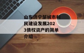 山东济宁邹城市利民建设发展2023债权资产的简单介绍