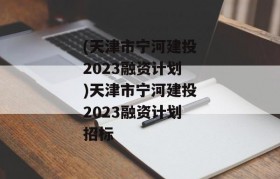 (天津市宁河建投2023融资计划)天津市宁河建投2023融资计划招标