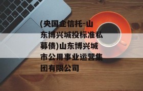 (央国企信托-山东博兴城投标准私募债)山东博兴城市公用事业运营集团有限公司