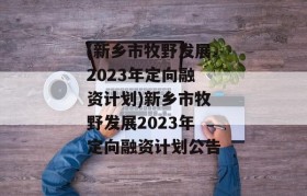 (新乡市牧野发展2023年定向融资计划)新乡市牧野发展2023年定向融资计划公告