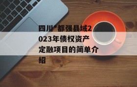 四川*都强县域2023年债权资产定融项目的简单介绍