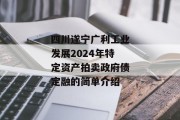 四川遂宁广利工业发展2024年特定资产拍卖政府债定融的简单介绍