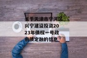 关于天津市宁河区兴宁建设投资2023年债权一号政府债定融的信息