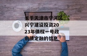 关于天津市宁河区兴宁建设投资2023年债权一号政府债定融的信息