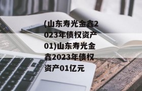 (山东寿光金鑫2023年债权资产01)山东寿光金鑫2023年债权资产01亿元