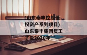 (山东泰丰控股债权资产系列项目)山东泰丰集团复工了没2020年