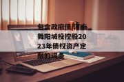 包含政府债|河南舞阳城投控股2023年债权资产定融的词条