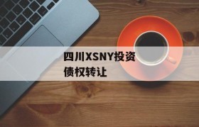 四川XSNY投资债权转让