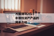 万盛捷羽2023年债权资产产品的简单介绍