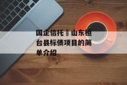 国企信托•山东桓台县标债项目的简单介绍