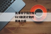 天津市宁投控股2023融资计划的简单介绍