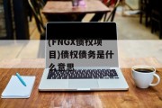 (FNGX债权项目)债权债务是什么意思