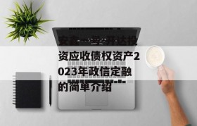 安鑫一号-开达投资应收债权资产2023年政信定融的简单介绍