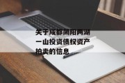 关于成都简阳两湖一山投资债权资产拍卖的信息