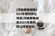 (河南郏县城投2023年债权转让项目)河南郏县城投2023年债权转让项目招标